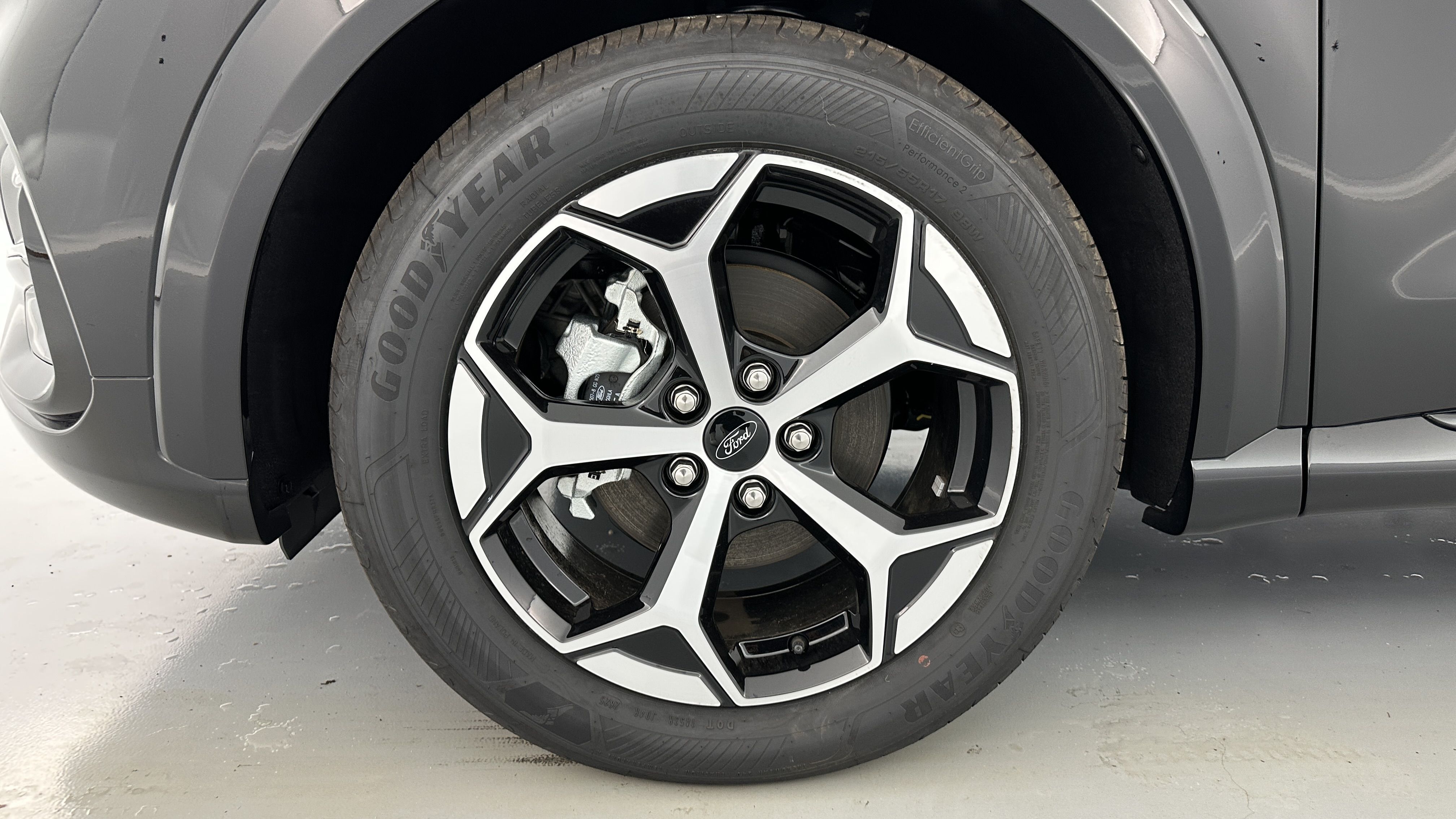 GLI00009878_p53 - FORD - PUMA - 2025 - photo 11