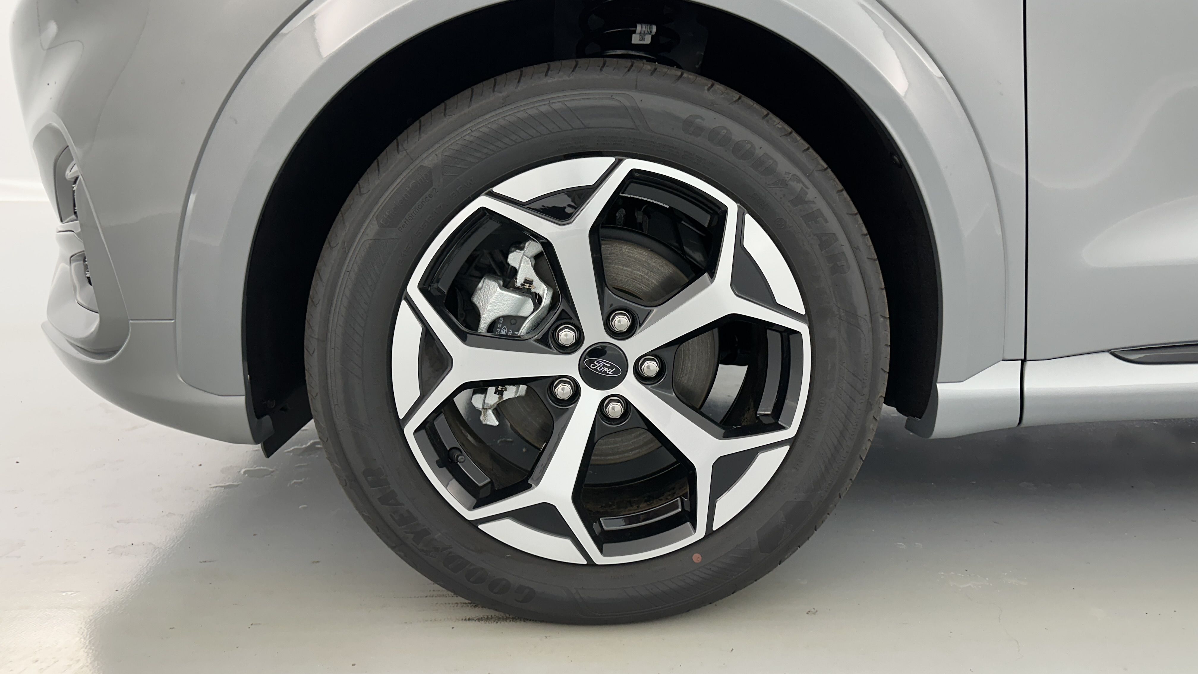 GLI00009893_p53 - FORD - PUMA - 2025 - photo 11