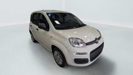 362556_p2 - FIAT - PANDA - 2025