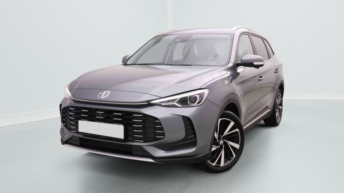 372142_p2 - MG - ZS - 2026 - photo 1